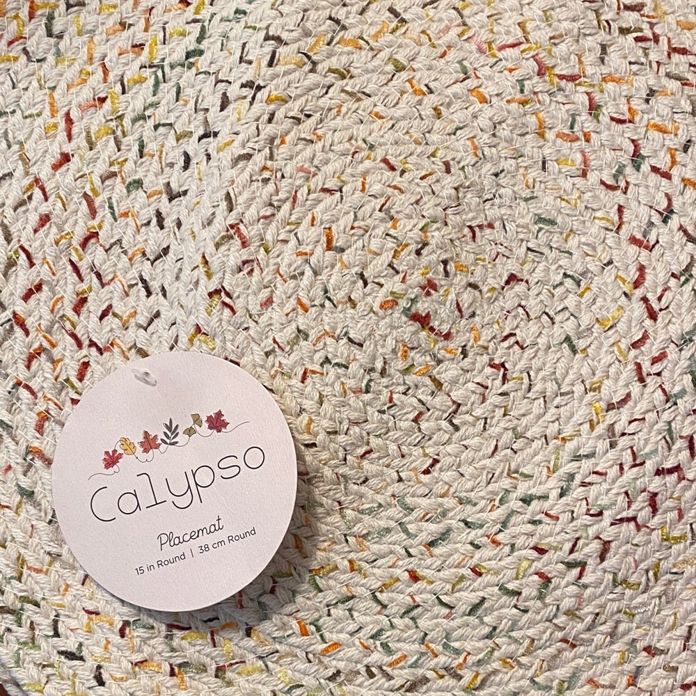 Calypso Multicolor Woven Placemat
